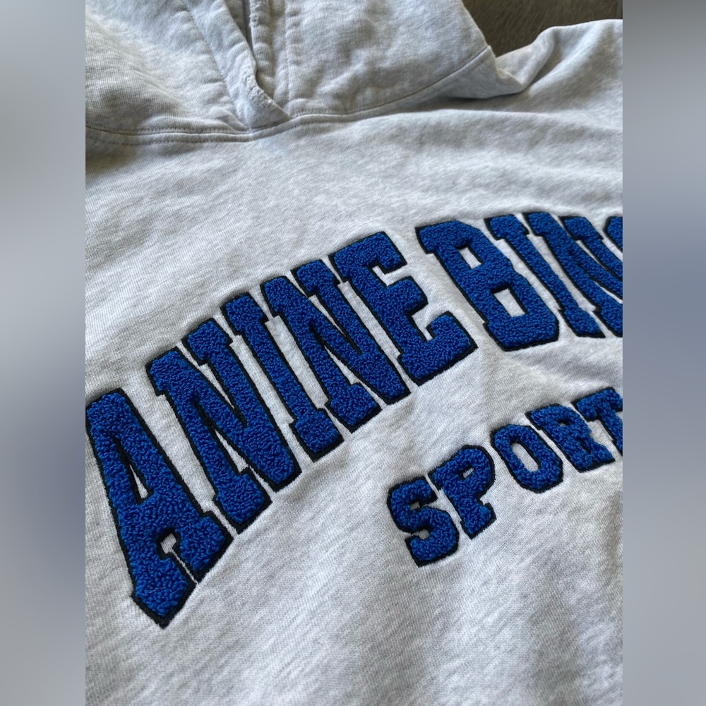 Anine Bing Tyler Hoodie- heather grey/electric blue